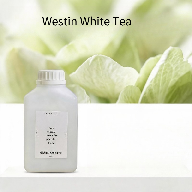 Aceite Esencial de 500 ml para - Home Fragrance Accessories reseña y precio