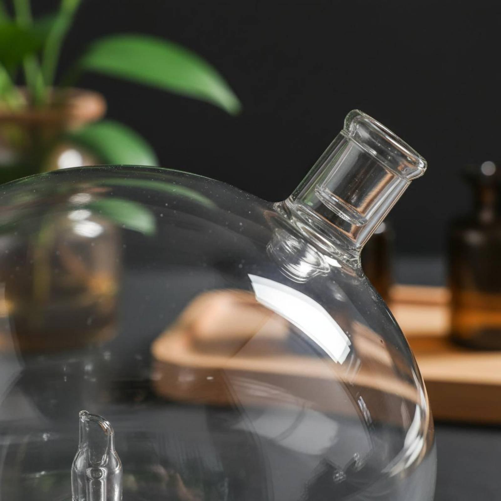 Botella Difusora de Vidrio de  - Home Fragrance Diffusers reseña y precio